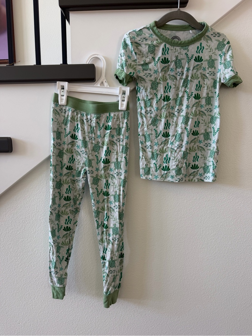 Emerson & Friends Kids Green Turtle Print Pajama Set - Bamboo